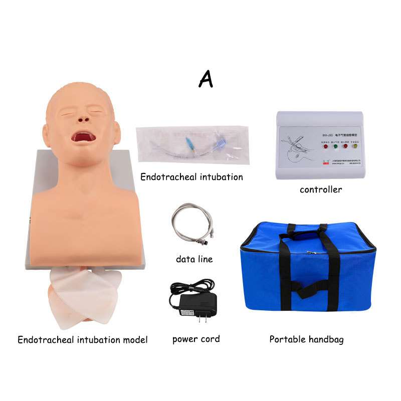 Model nauczania manekina intub – Medical Lab Management recenzja i cena