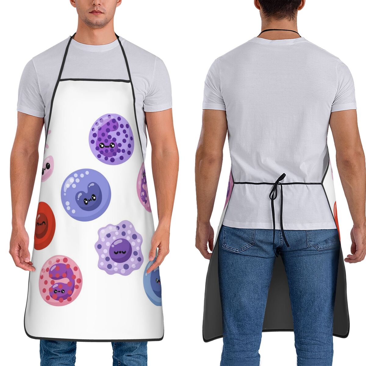 Hematologia Krwowe komórki lab – Medical Laboratory Scientist recenzja i cena